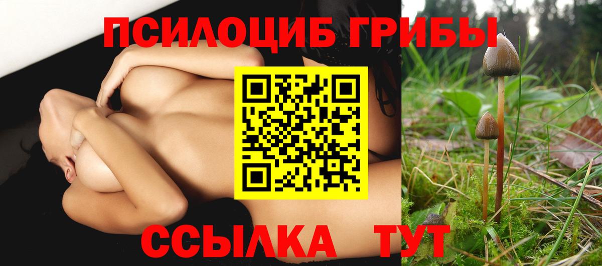 Галлюциногенные грибы мухоморы  Галлюциногенные грибы MAGIC MUSHROOMS  Воскресенск  наркотики  Вход с VPN 